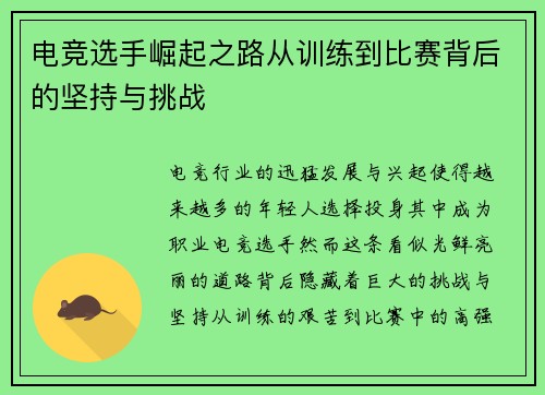 电竞选手崛起之路从训练到比赛背后的坚持与挑战